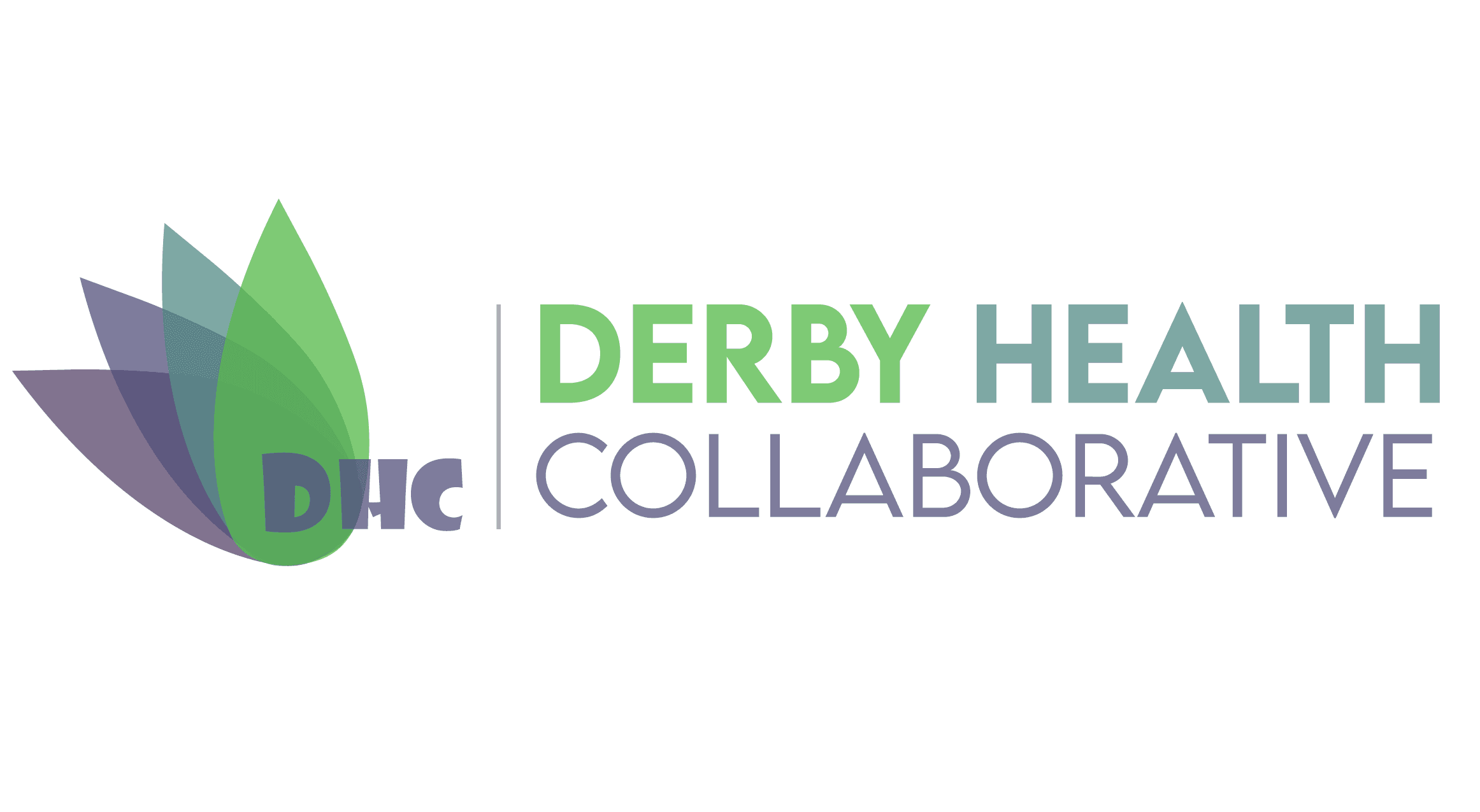 2020 dhc fullcolor-03